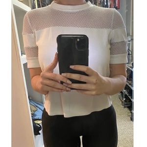 White Netting Crop Top